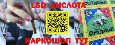 шишки Апшеронск