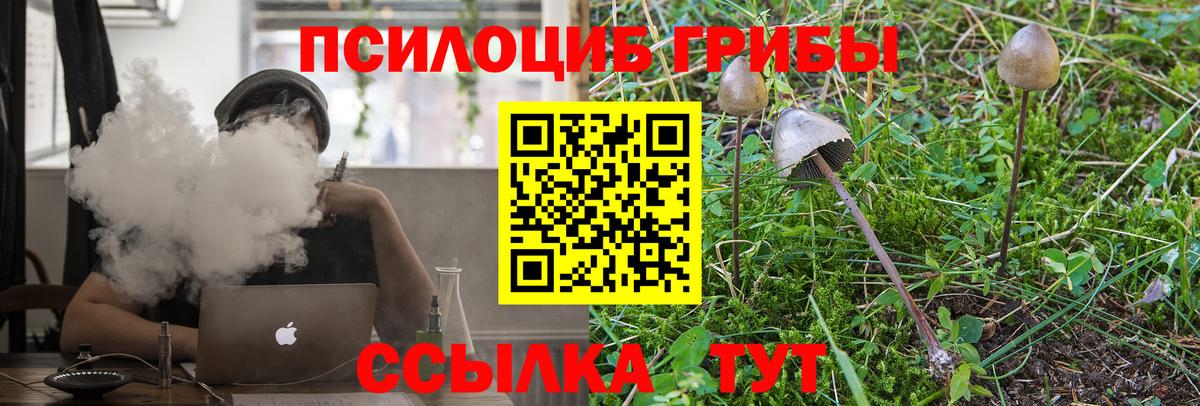 Псилоцибиновые грибы прущие грибы Березники