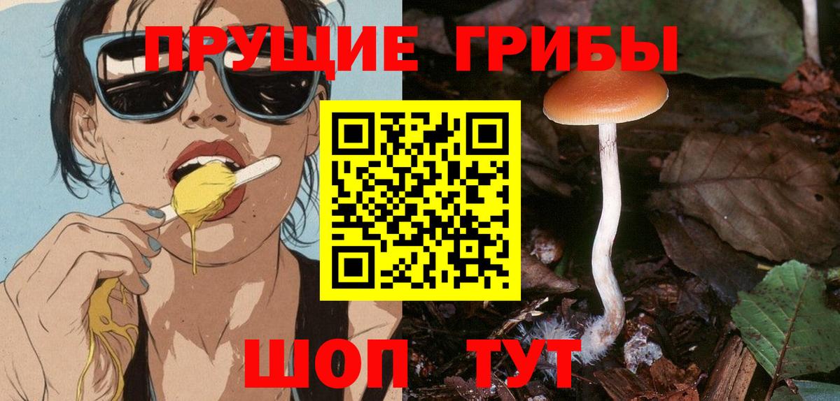 Псилоцибиновые грибы Magic Shrooms  купить закладку  Псилоцибиновые грибы Magic Shrooms  Березники  Вход с VPN 